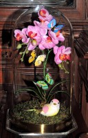 /album/otros-productos/a1o-jpg/