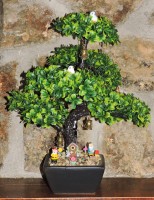 /album/otros-productos/dscn8107-jpg/