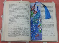 /album/otros-productos/dscn9176-jpg/