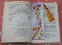 /album/otros-productos/dscn9179-jpg/